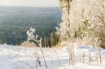 frosty day in winter