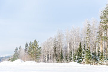 frosty day in winter