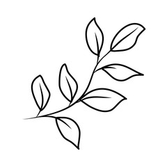 branch with leafs plant