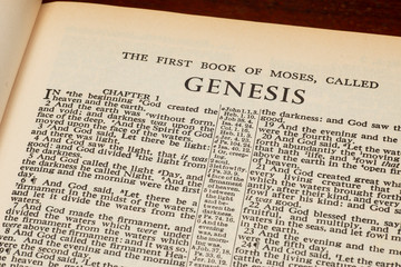 Genesis 1 In The Beginning From Old Bible