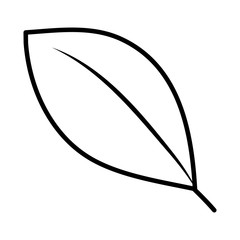 ecology leaf plant icon