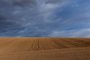 Cloudy sky over a field