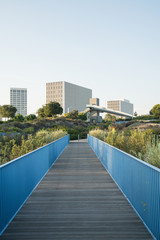Newport Beach Skyline & Park 
