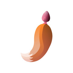 Pink anal plug with orange fluffy tail isolated on white background