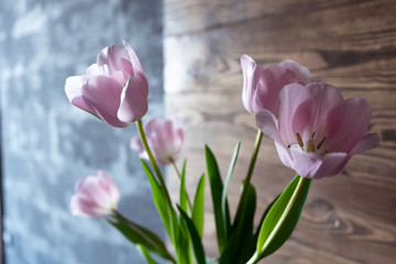 Festive bouquet of pink tulips in the interior