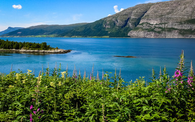 Village on the coast of the Norwegian fjord