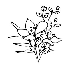 beautiful flowers decorative icon