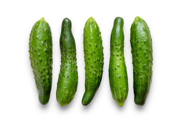 Cucumbers of different shapes
