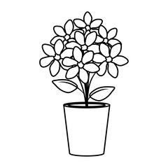 floral decoration in clay pot