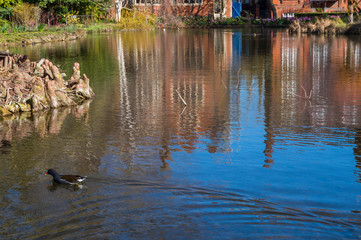 Cambridge City, England - Stunning Courtyards and impresive architecture in springtime
