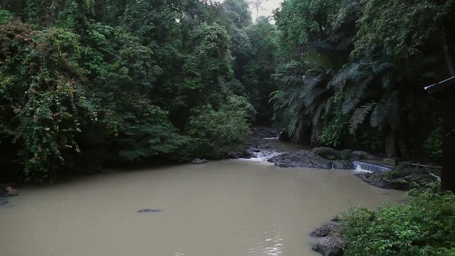 Small river in the Rainforest, Tabin Wildlife Reserve