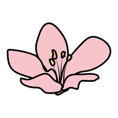 beautiful flower decorative icon
