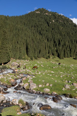 Valley of Altyn-Arashan in the late afternoon with a creek in the foreground in Kyrgyzstan