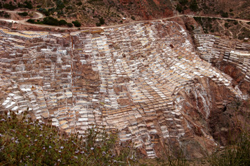 Maras salt pans - Peru South America