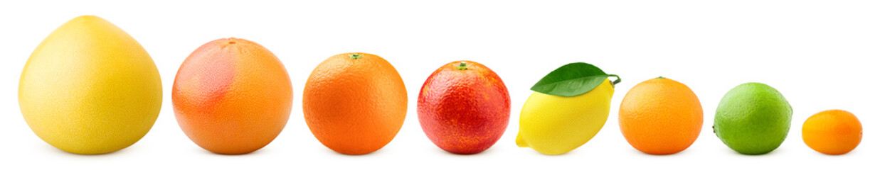 citrus isolated on white background, pomelo, grapefruit, orange, lemon, tangerine, lime, kumquat,...