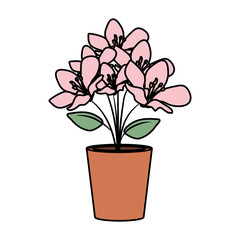 floral decoration in clay pot