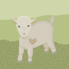 Baby goat with heart
