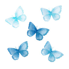 Set of blue butterflies, watercolor 