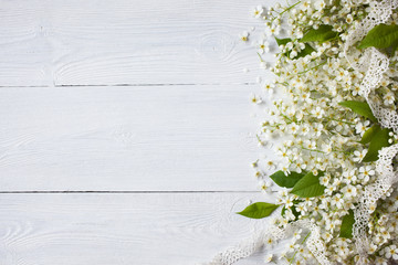 Background with branches and flowers of a bird cherry
