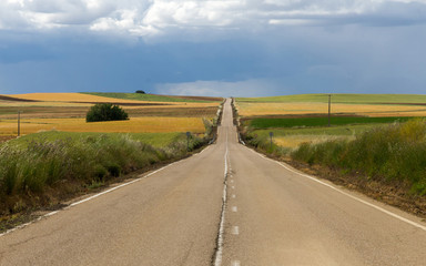 Fototapeta na wymiar Larga recta de carretera en paisaje ondulado, entre campos cultivados en tonos verdes y amarillos, al final de la primavera