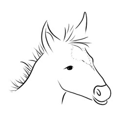 horse sketch one line draw vector illustration