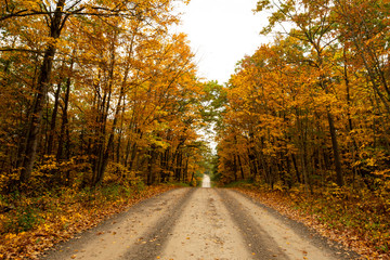 Obraz premium Country Road in Fall