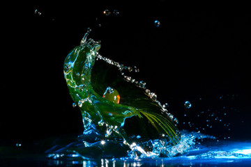 Tropfenfotografie - kippende Kaskade Tropfen auf Tropfen in blau und orange vor schwarzem Hintergrund