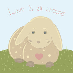 Bunny in love