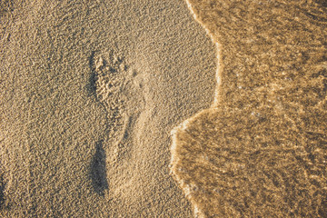 foot print mark on a sand from human bare feet in sea shoreline waterfront beach idyllic wallpaper pattern photography travel vacation concept with empty copy space for your text or inscription