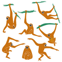 Set Of Funny Gibbon Monkey Icons.