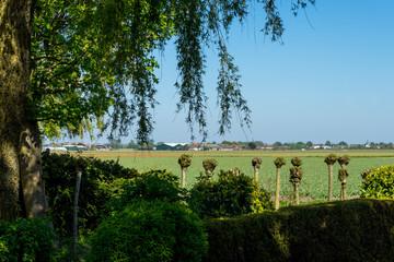 Fototapete bei efototapeten.de bestellen   