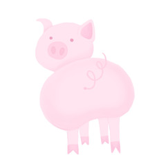 Funny pink pig