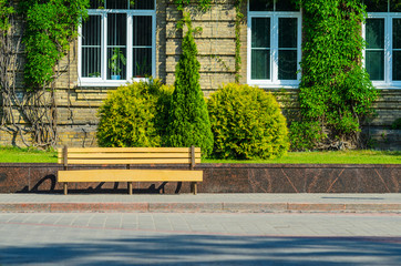 The Urban Invironment- Wooden Bench in Front of the Brick Facade of an Old Building Covered with Ivy. Elements of Beautification in Architecture. living Walls Background