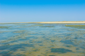 Salt lake shore