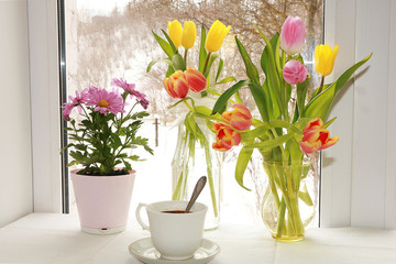 A bouquet of flowers on the window, a wonderful gift for loved ones, the approach of spring