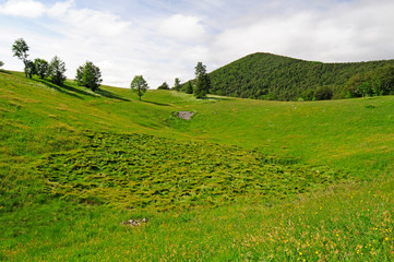 Bergwiese im Naturreservat Bijele und Samarske Stijene (Velika Kapela), Kroatien