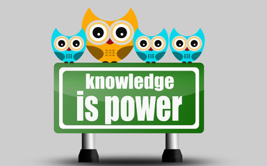 Knowledge is power road sign with cute owls