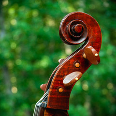 Cello