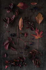 Botanical composition