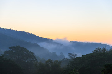 Tropical forest mountain with fog and mist in morning at Hang Dong district in Chiang Mai, Thailand