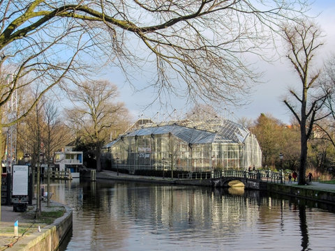 Hortus Botanicus, botanical garden in Amsterdam, Holland, Netherlands