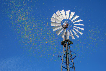 Windmill with blue sky and shinny green light effect to mimic leaves or flower petals 