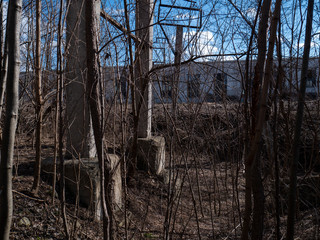 Autumn in zone of exclusion. Zone of high radioactivity. Like a Chernobyl disaster. Ghost town of...