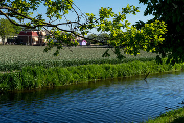 Netherlands,Lisse, a small pond in front of a house