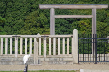 仁徳天皇陵　鳥　しらさぎ