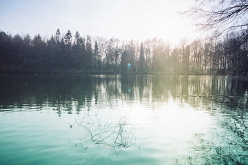 Baumstamm am stillen See