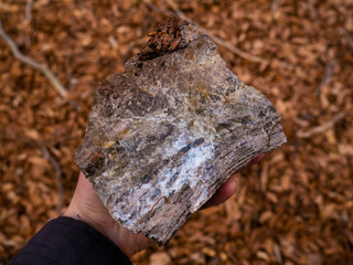 Mineral stone in hand against the background of the forest