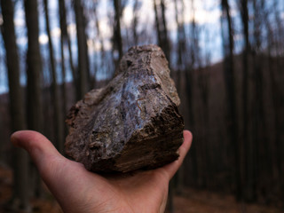 Mineral stone in hand against the background of the forest
