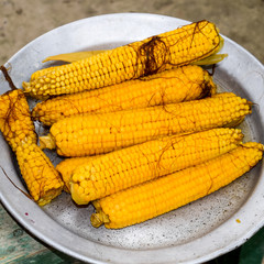 Boiled corn on an aluminum tray. Yellow boiled young corn, useful and tasty food