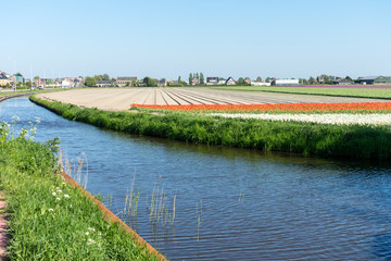 Netherlands,Lisse, a bridge over a body of water